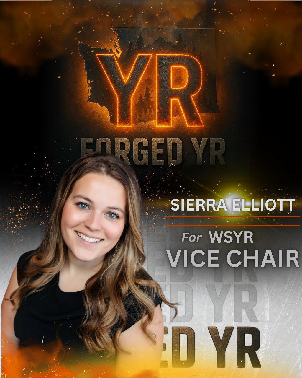 Vice Chair Candidate